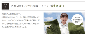 日本人工芝計画の画像
